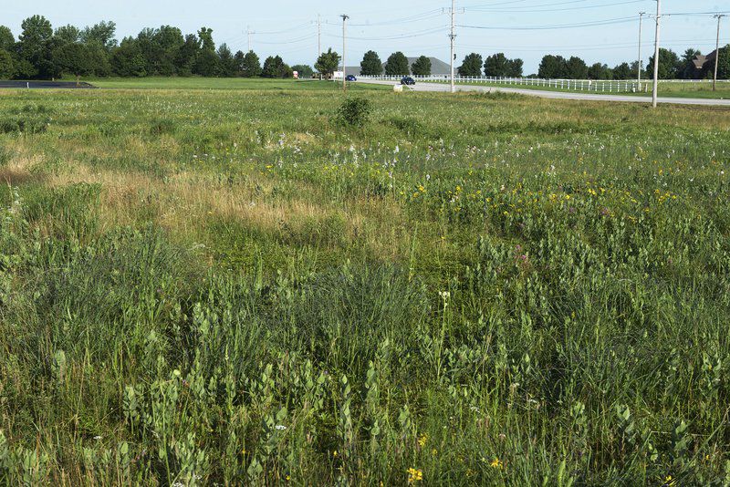 National groups, Liberty-Empire shine spotlight on pollinators